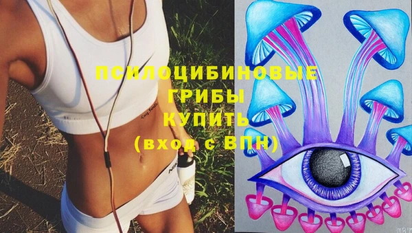 Альфа ПВП Касимов
