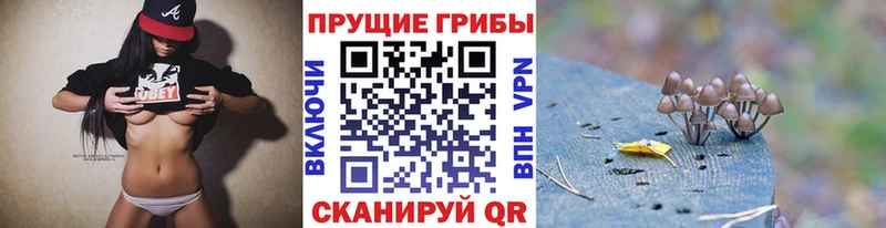 Галлюциногенные грибы GOLDEN TEACHER  Купить закладки  Алушта 