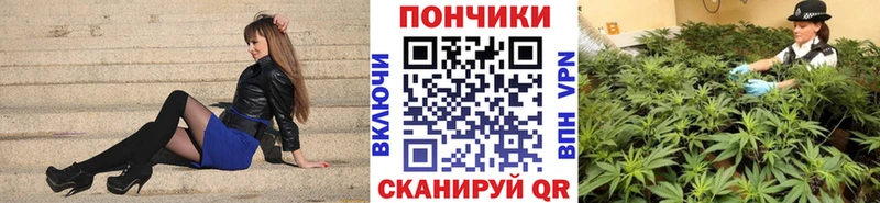 Шишки марихуана планчик  Купить где  Алушта 